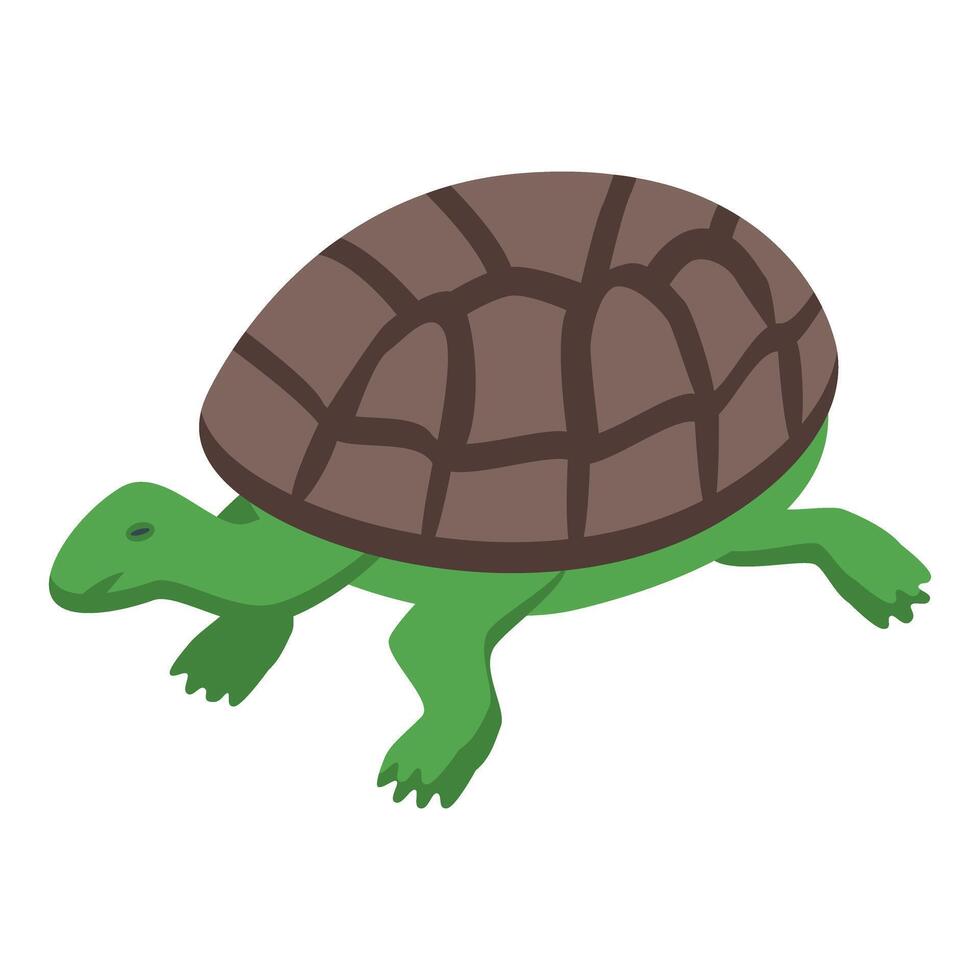 Green turtle walking in isometric style vector