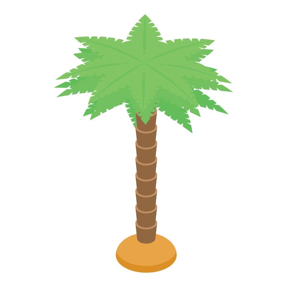 Green palm tree growing on white background isometric view vector