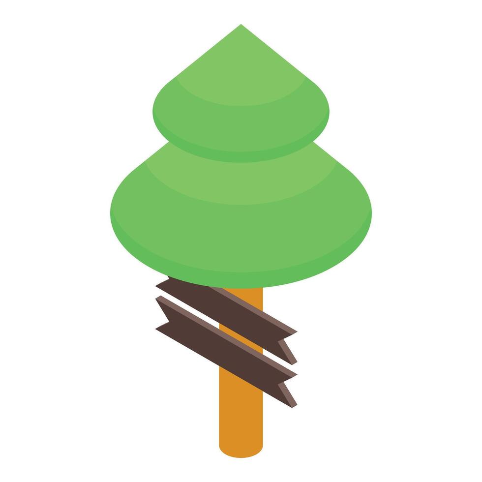 Green coniferous tree growing near wooden signpost with empty boards vector