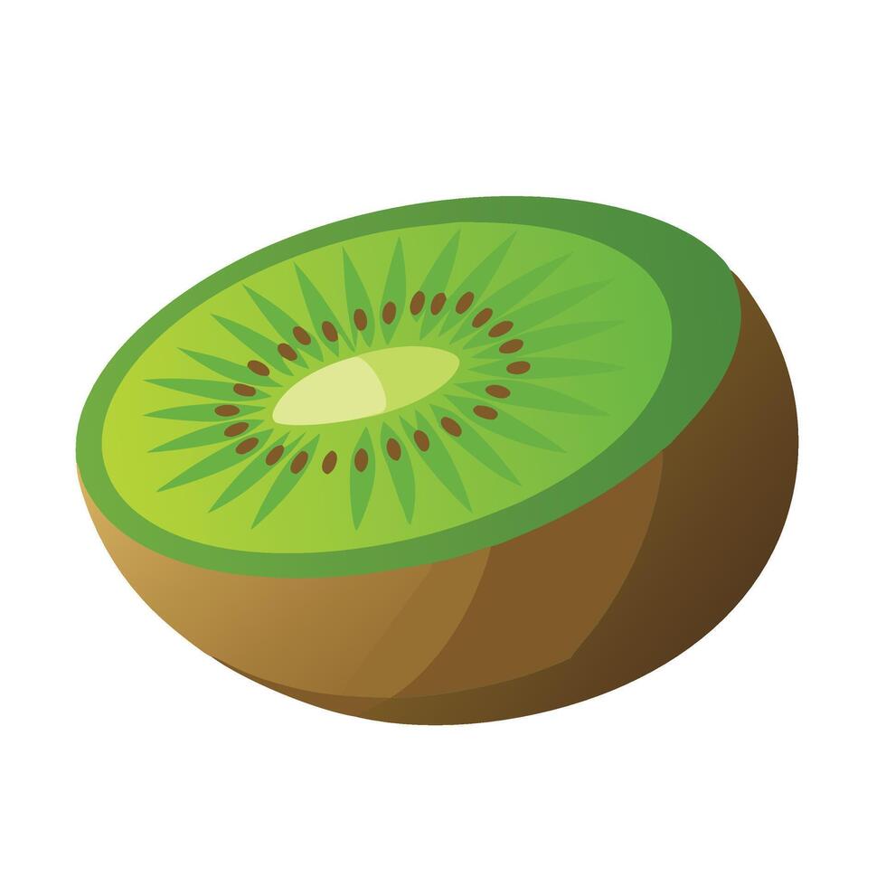 Kiwifruit fruit flat illustration on white background. vector