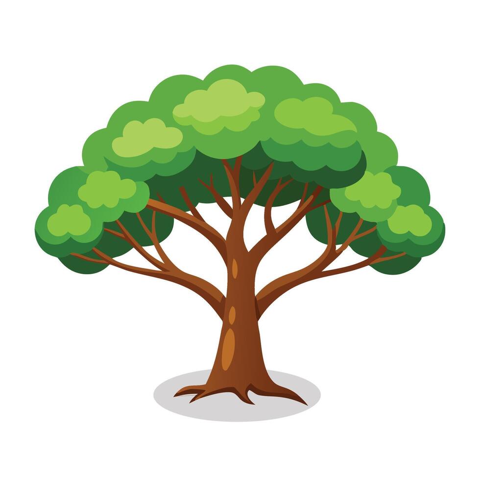 Toona Tree flat illustration on white background vector