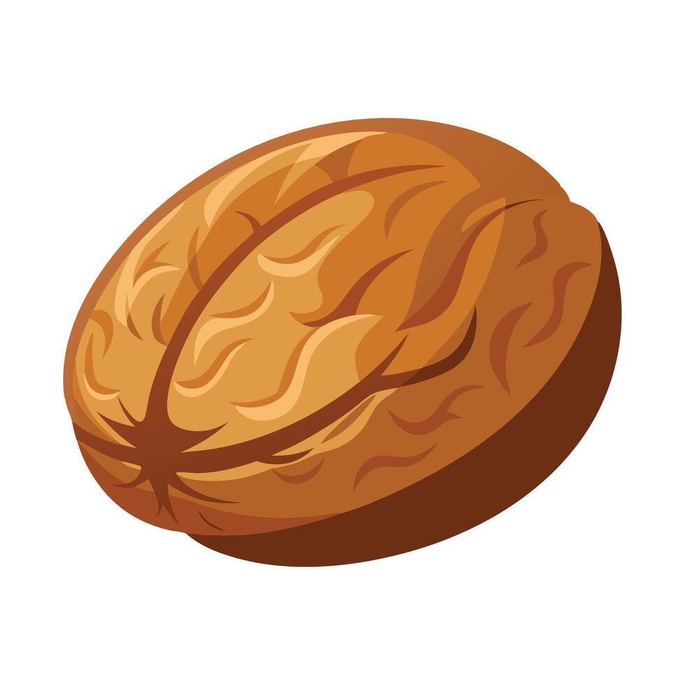 Walnut fruit flat illustration on white background vector