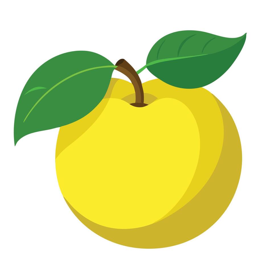 Quince fruit flat illustration on white background vector
