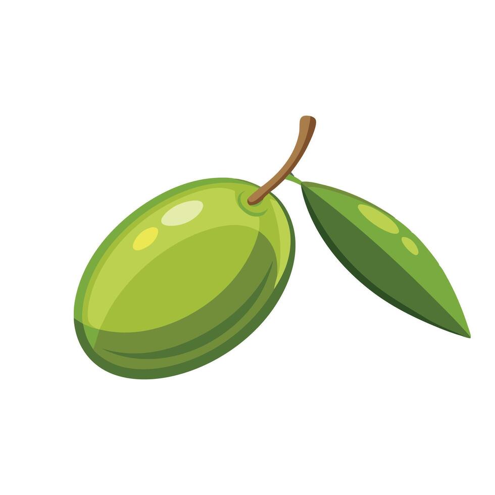 Olive fruit flat illustration on white background. vector