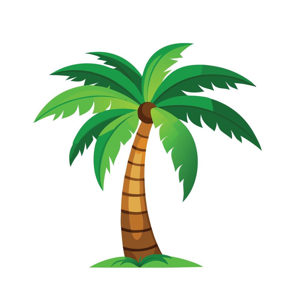 Coconut tree flat illustration on white background vector