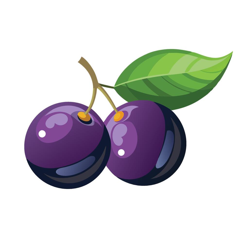 Jabuticaba fruit flat illustration on white background vector