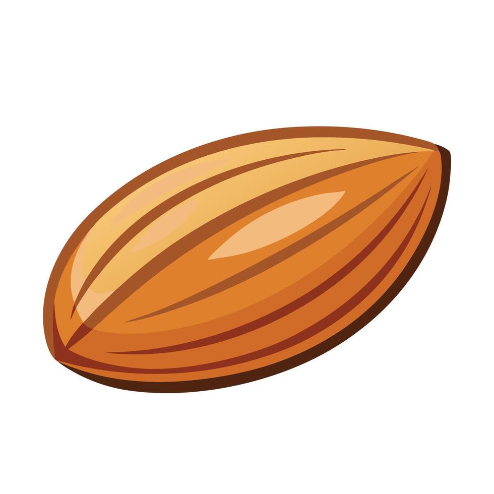 Almond fruit flat illustration on white background. vector