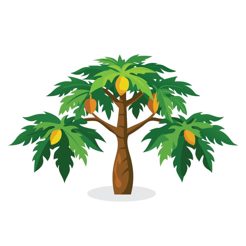 Papaya tree flat illustration on white background vector