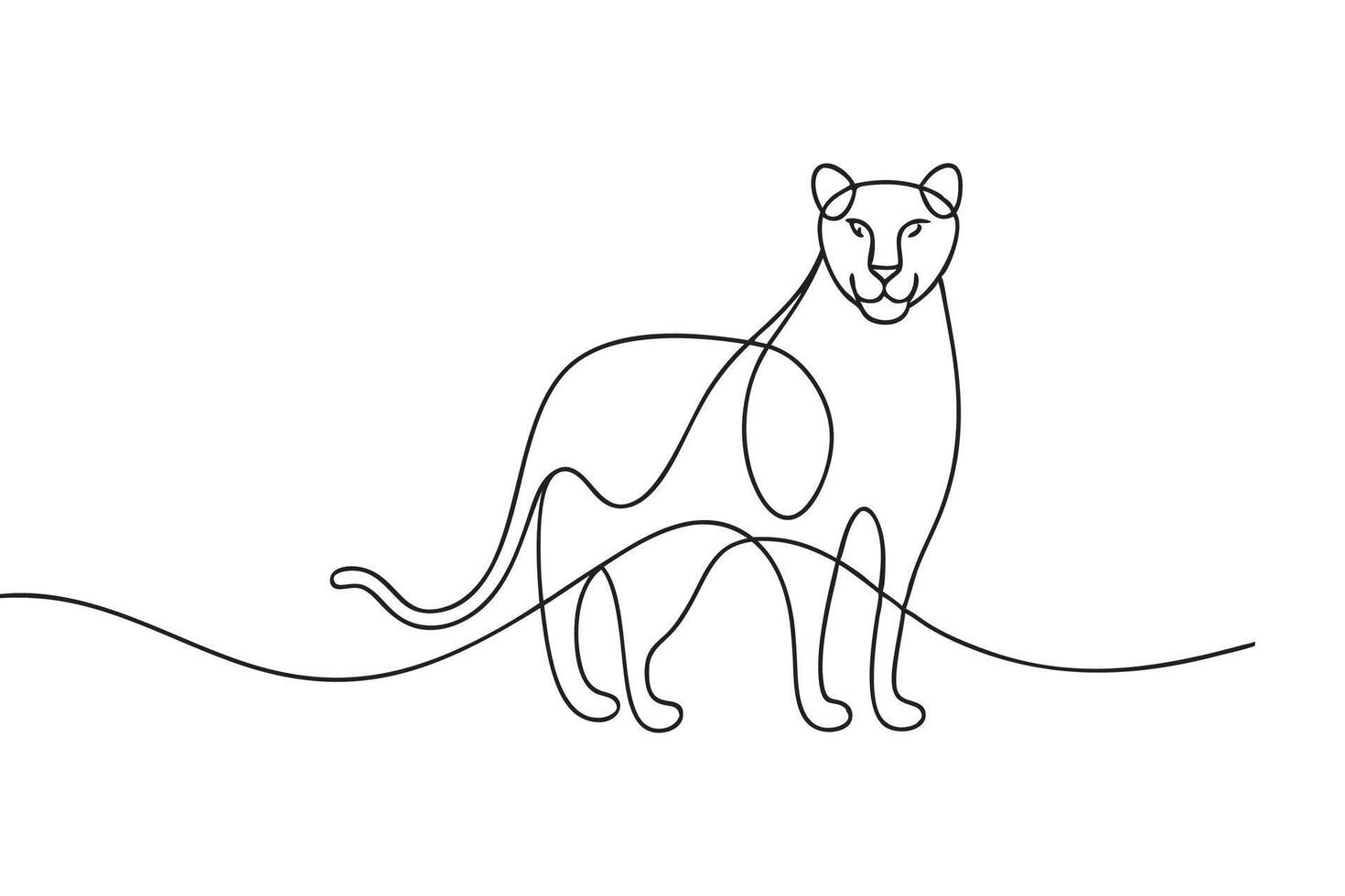 Panther line with illustration on white background vector