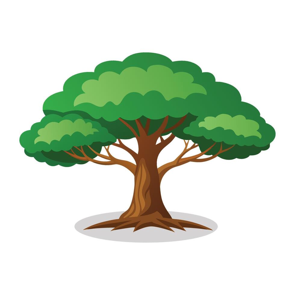 Sheesham tree flat illustration on white background vector