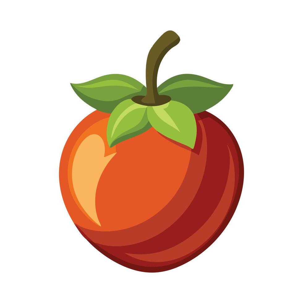 Tamarillo fruit flat illustration on white background. vector