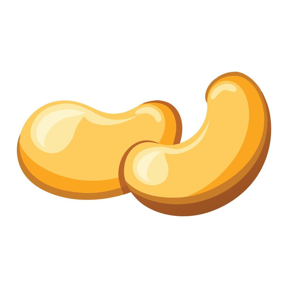 Cashews fruit flat illustration on white background. vector