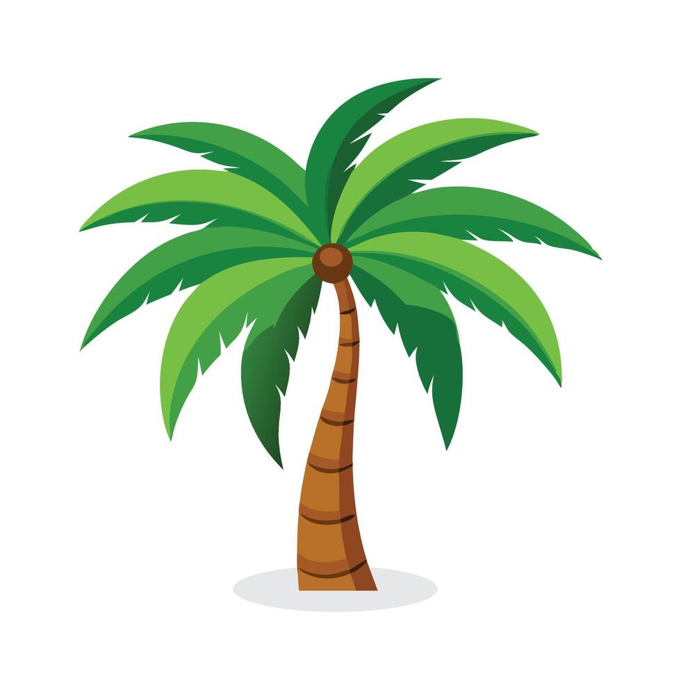 palm tree flat illustration on white background vector