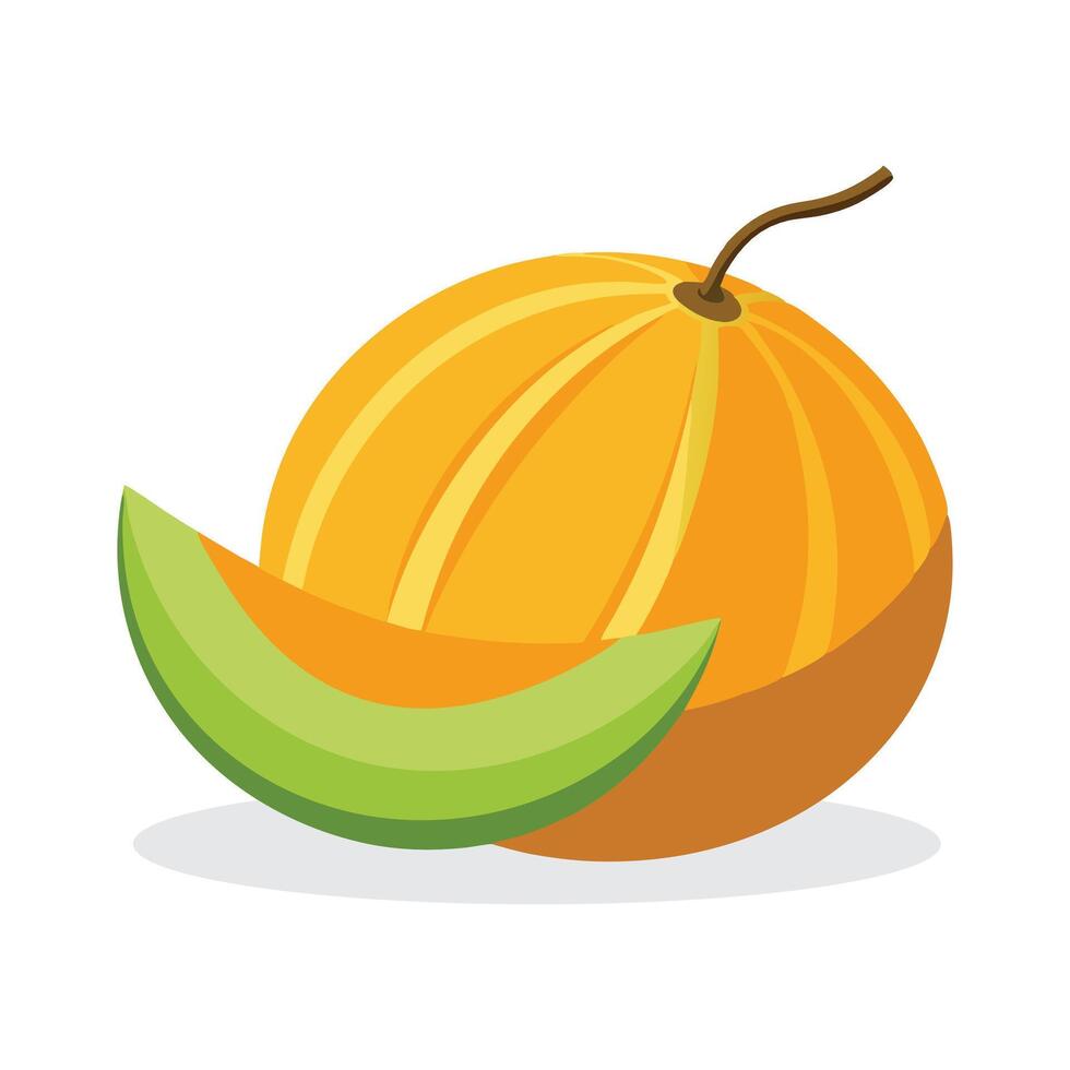 Muskmelon fruit flat illustration on white background vector