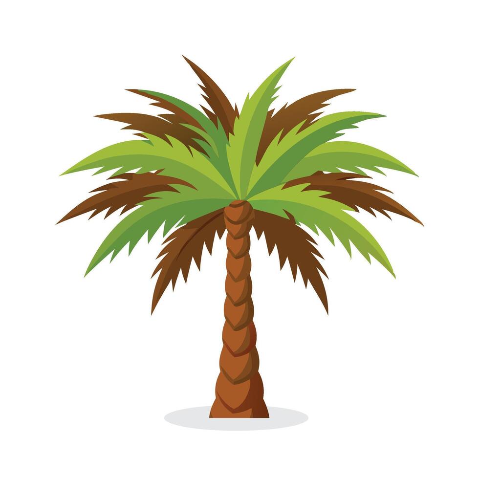 Date palm tree flat illustration on white background. vector