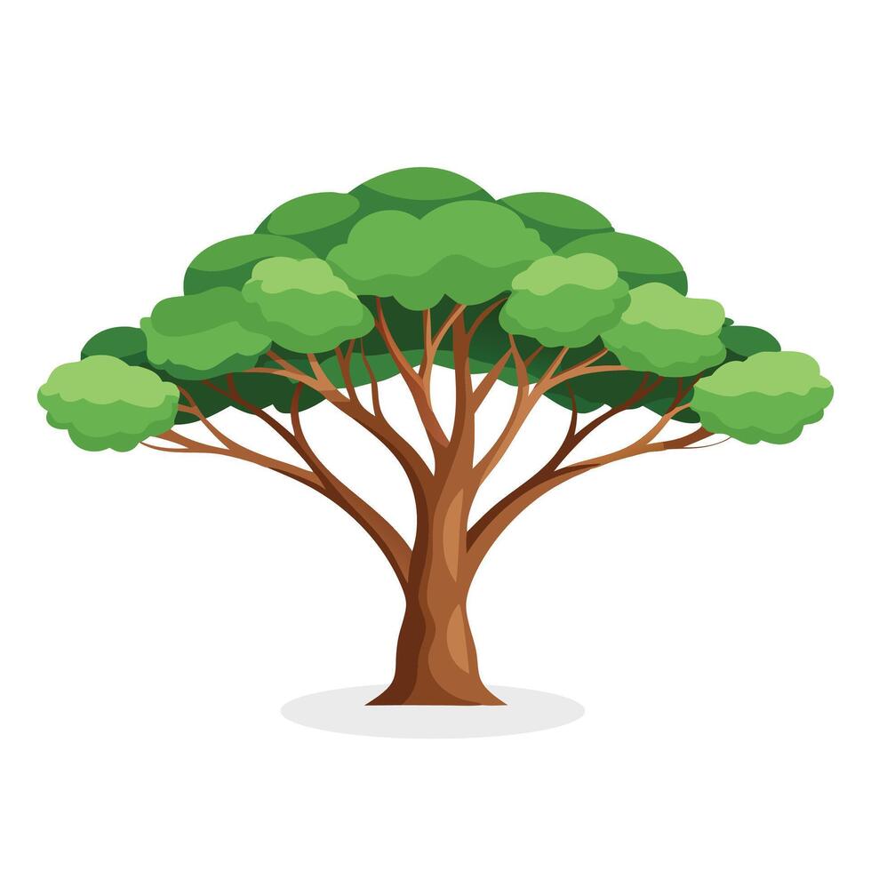 Eucalyptus Tree flat illustration on white background vector