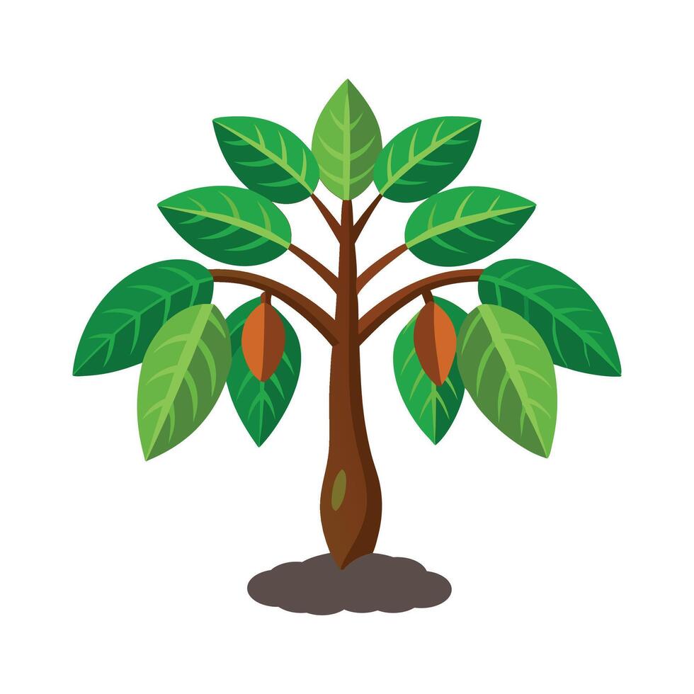 Betel nut Tree flat illustration on white background. vector