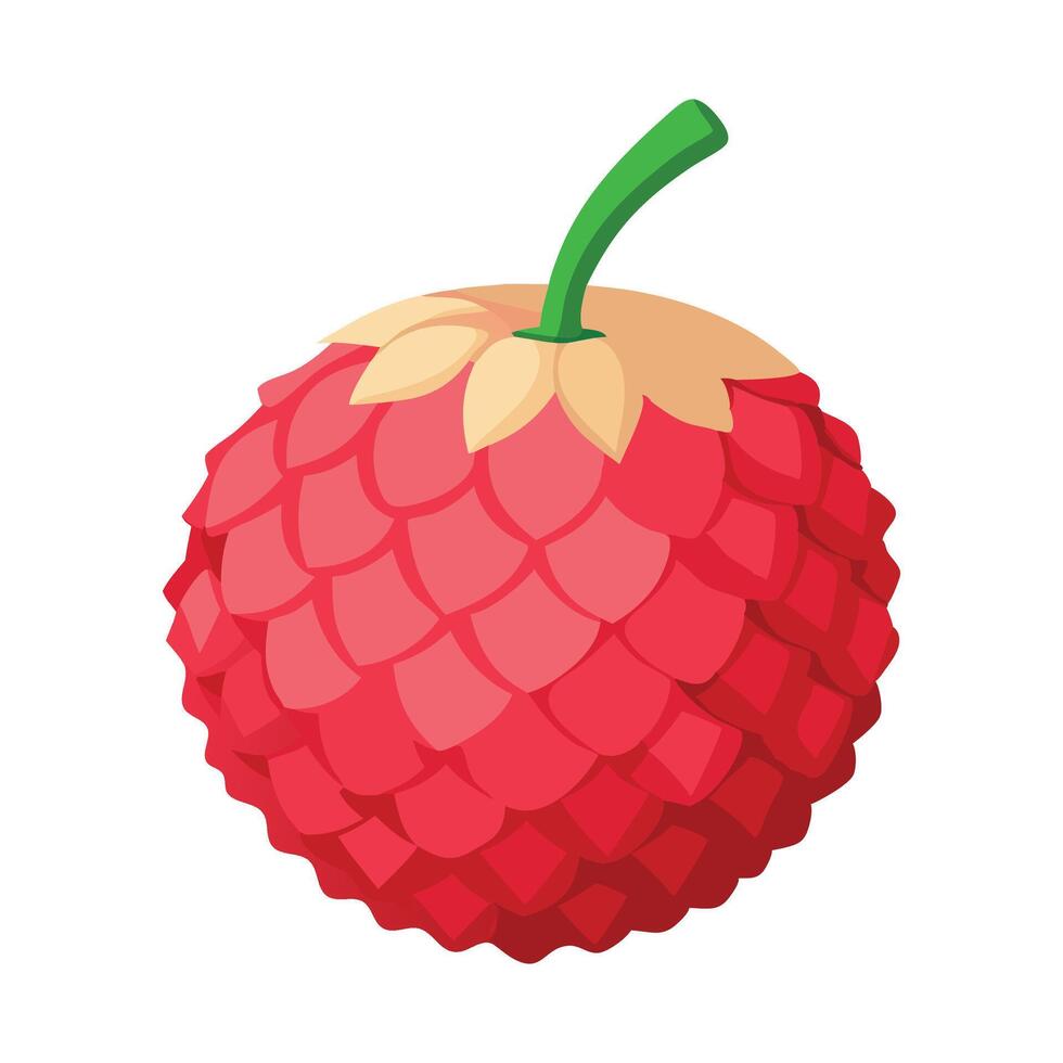 Litchi fruit flat illustration on white background vector