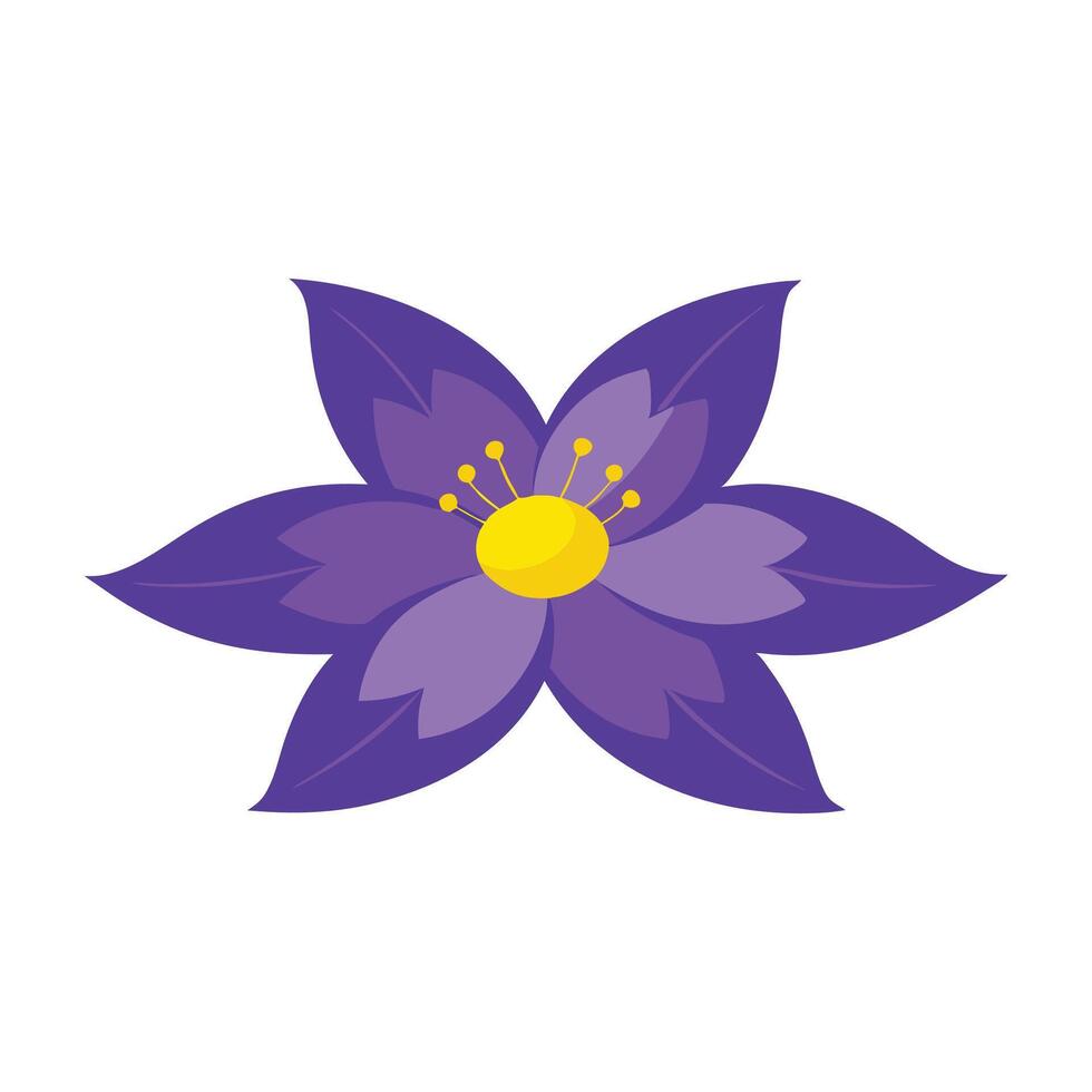 Close-up of purple flower with yellow stamens, beautiful botanical image flat illustration vector