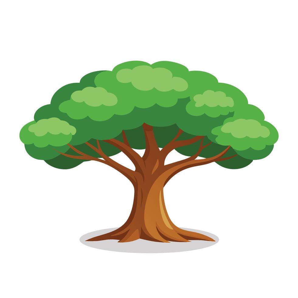 Teakwood tree flat illustration on white background. vector