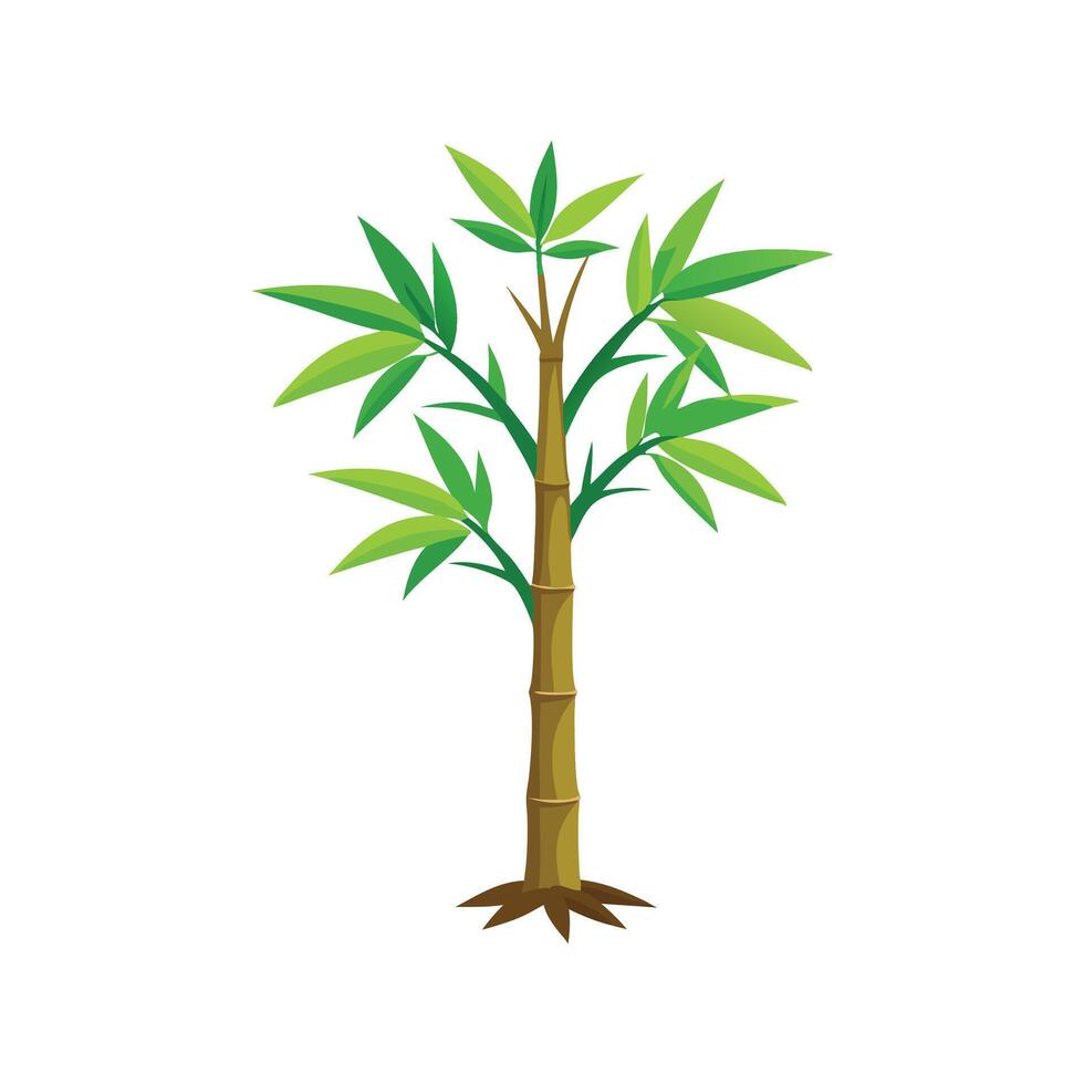 Bamboo Tree flat illustration on white background vector