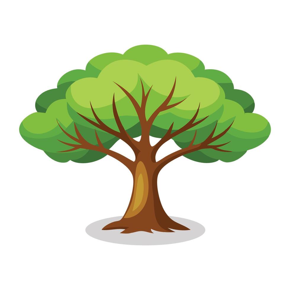 Peepal Tree flat illustration on white background vector