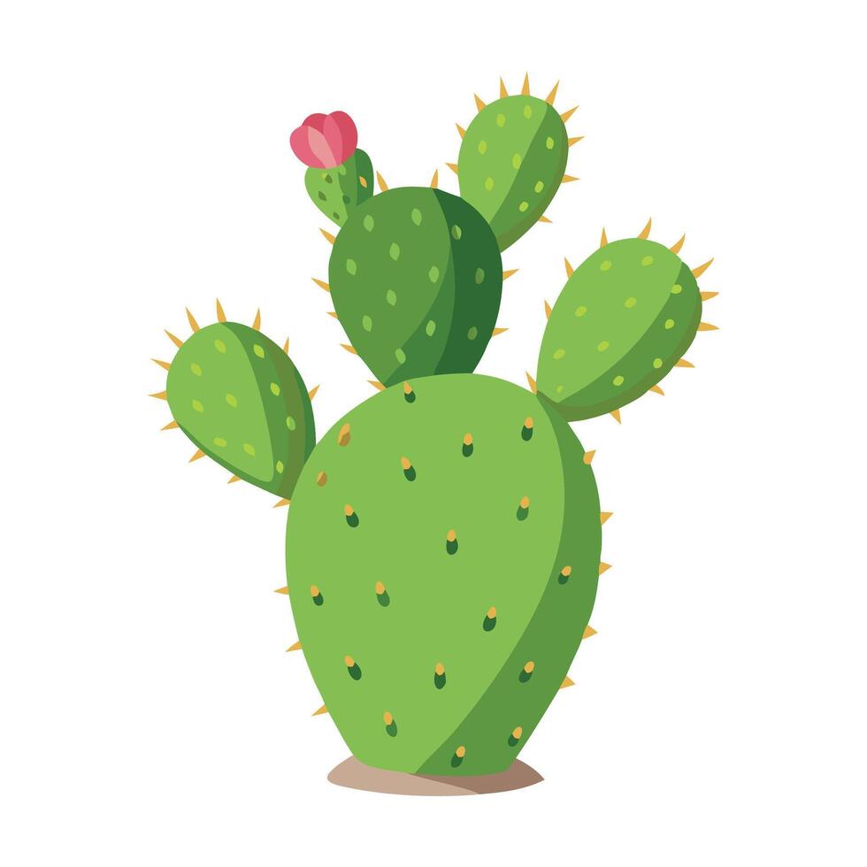 Prickly Pear fruit flat illustration on white background vector