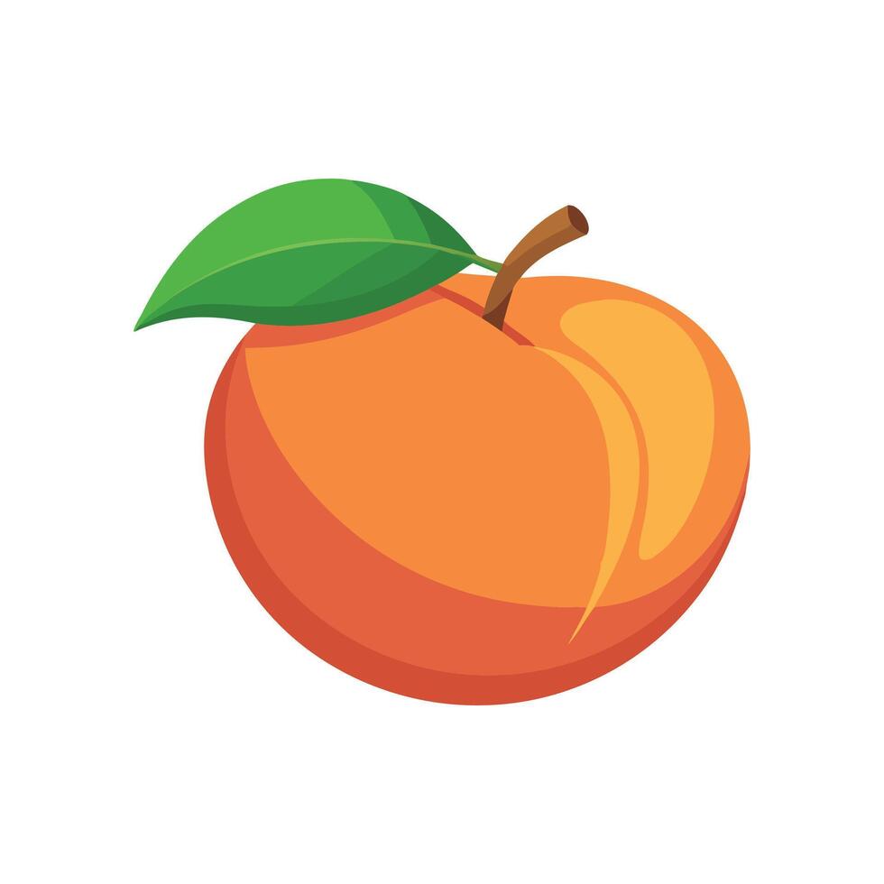 Peach fruit flat illustration on white background vector