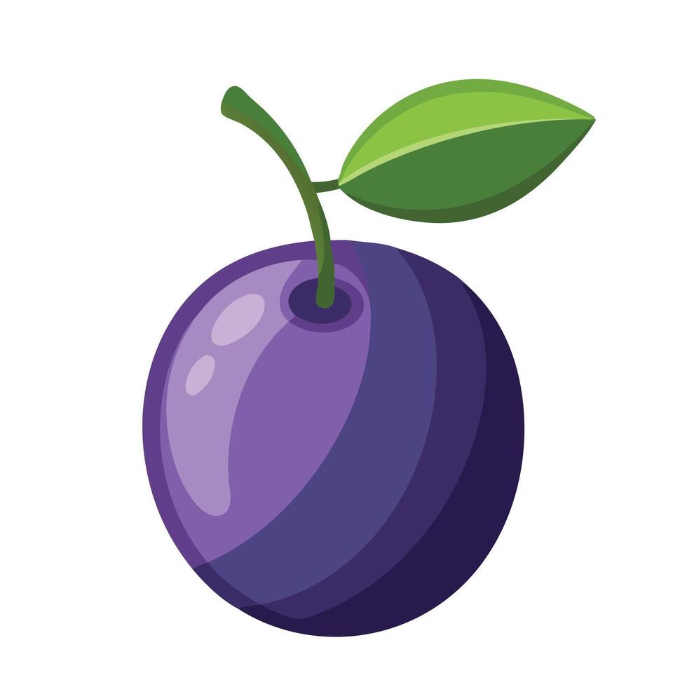 Damson fruit flat illustration on white background vector