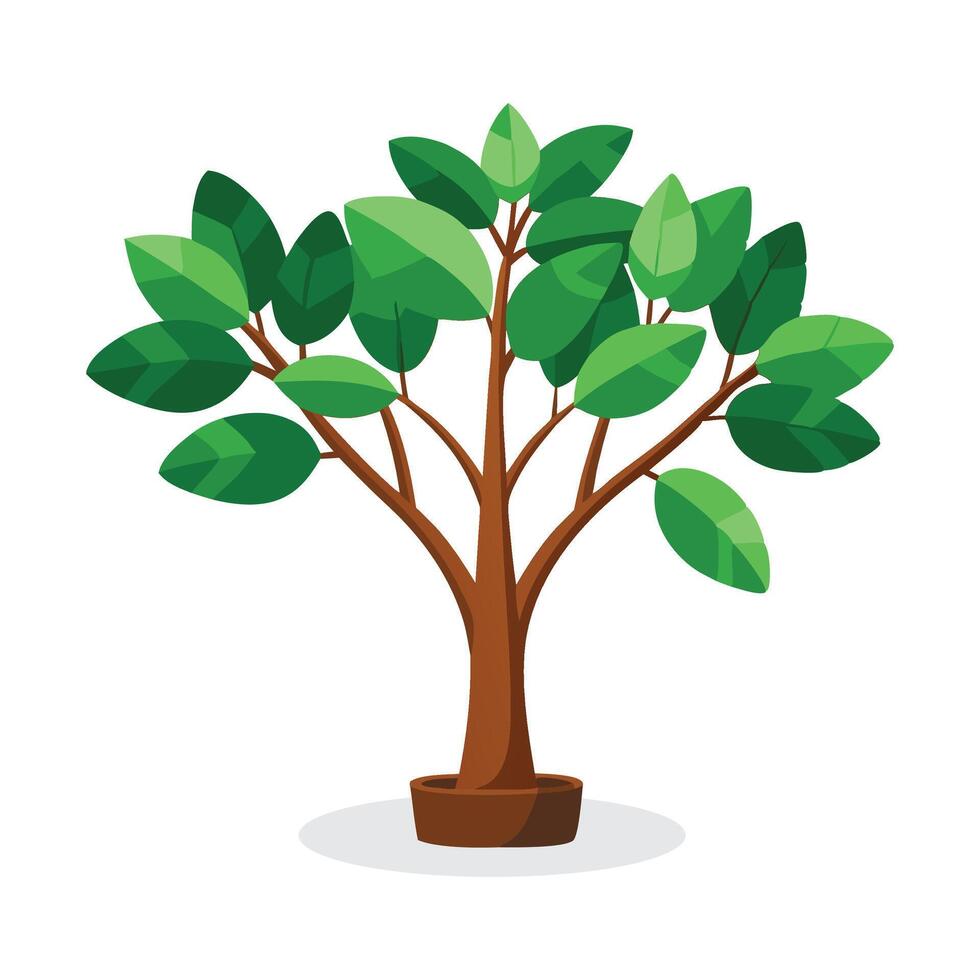 Rubber plant tree flat illustration on white background. vector