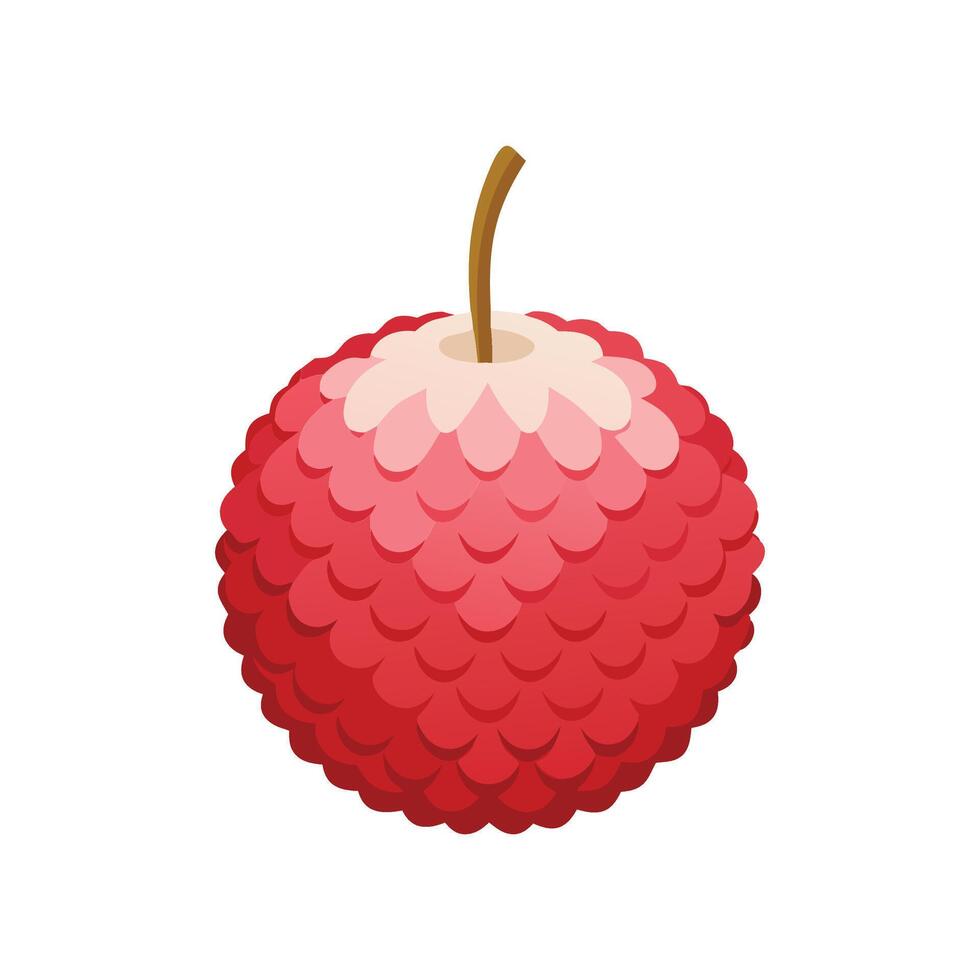 Lychee fruit flat illustration on white background vector