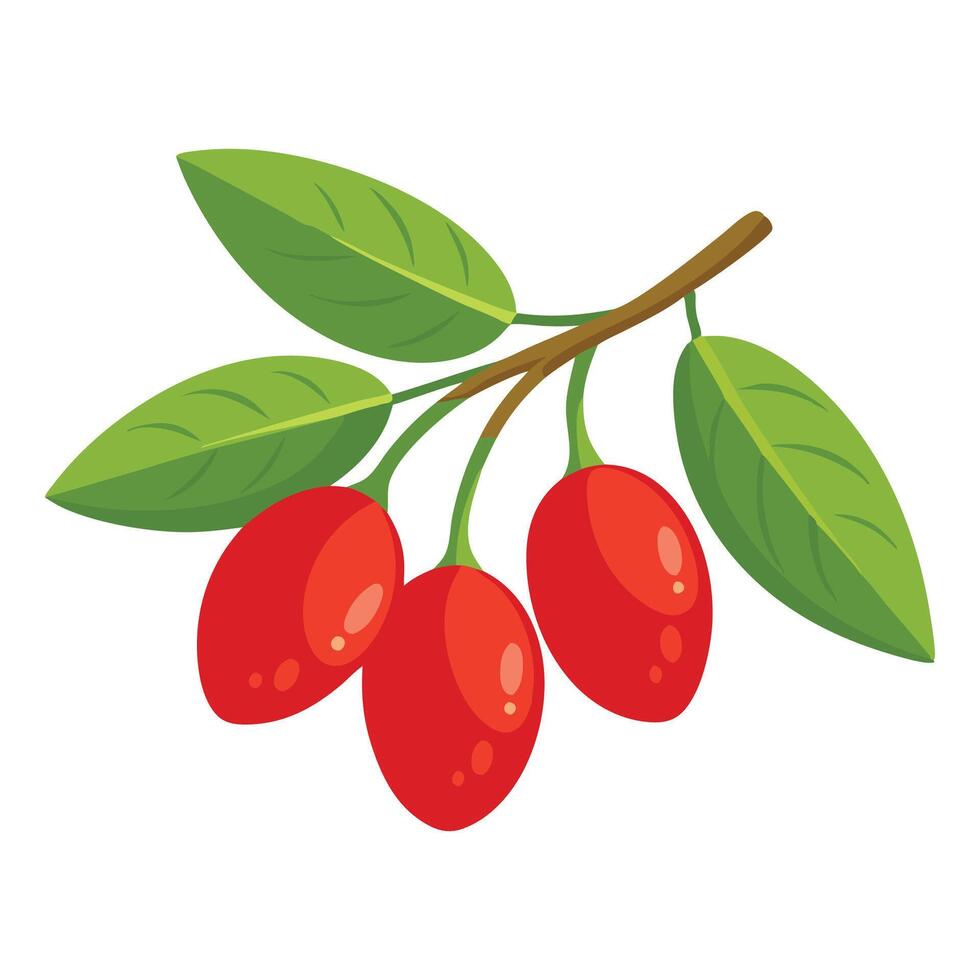 Goji Berry fruit fruit flat illustration on white background vector