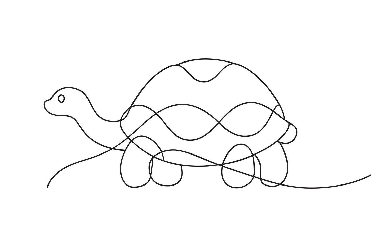 Tortoise line with illustration on white background vector