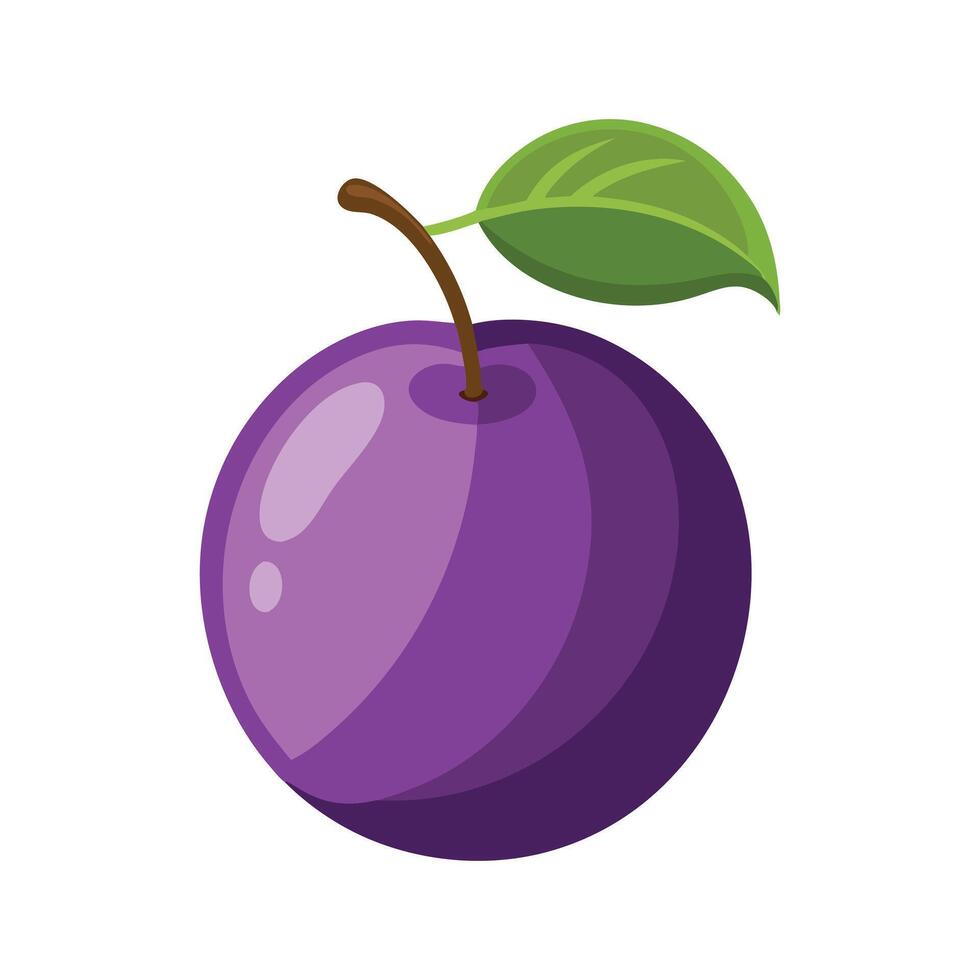Plum fruit flat illustration on white background vector