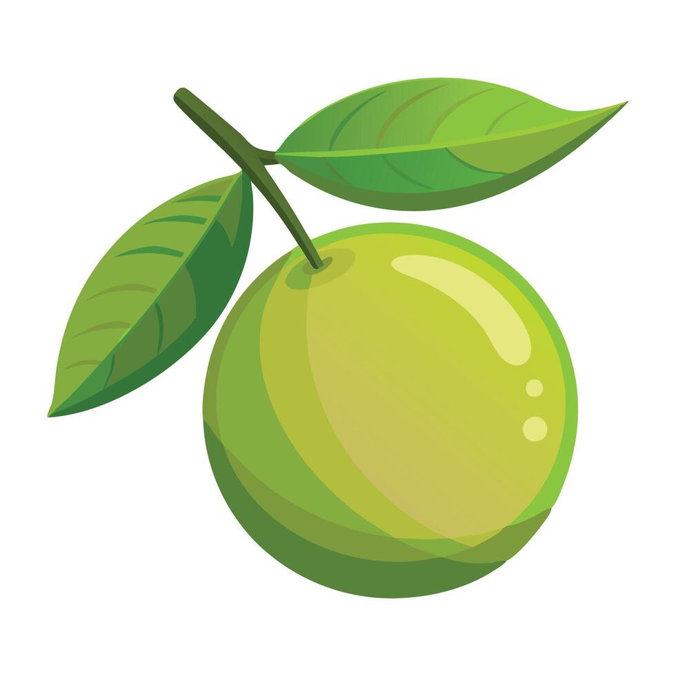 Sweetlime friut fruit flat illustration on white background vector