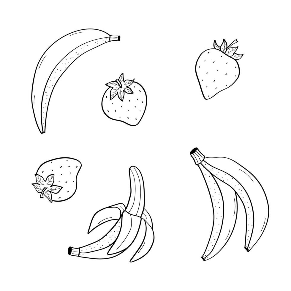 Set of strawberries and bananas, a doodle sketch. illustration of healthy food, ingredients for smoothies. vector