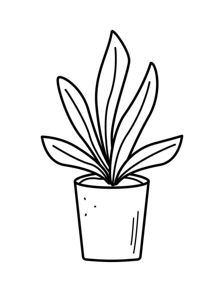Green flower in a pot, illustration of the contour of a doodle plant, landscaping of the room vector
