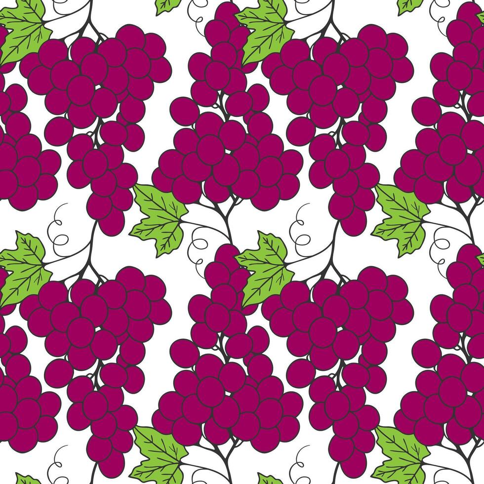 Pattern with red burgundy grape on white background. vector
