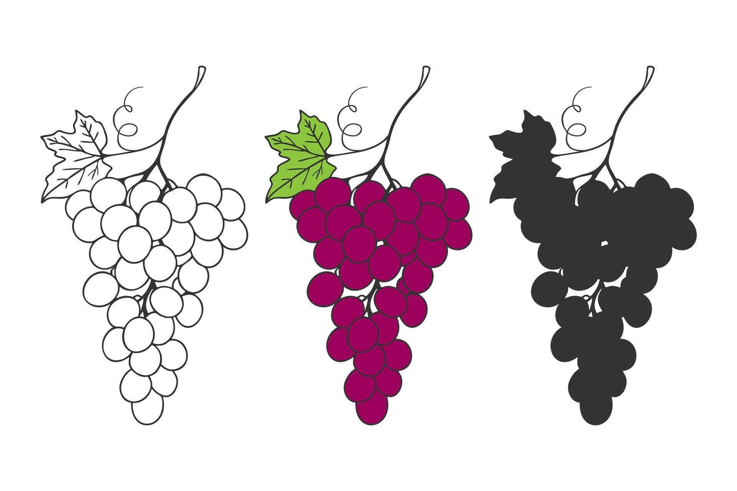 Grape set bunches of grapes in outline, colors and dark silhouette style. vector