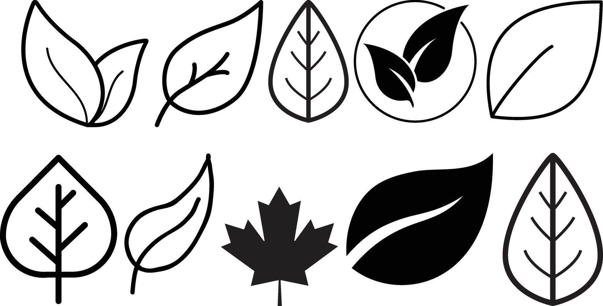 Leaf icon set collection vector