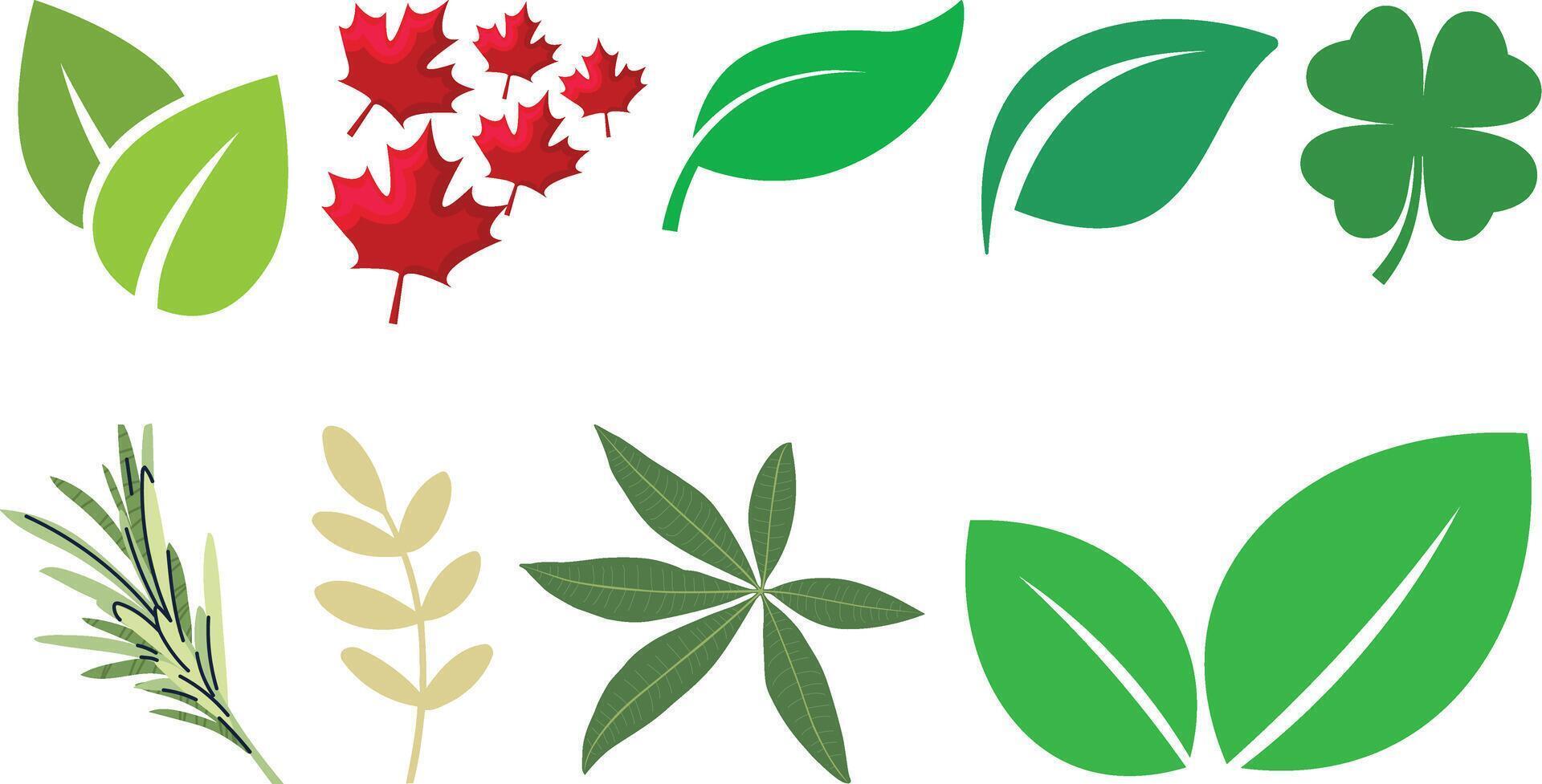 Leaf icon set collection vector