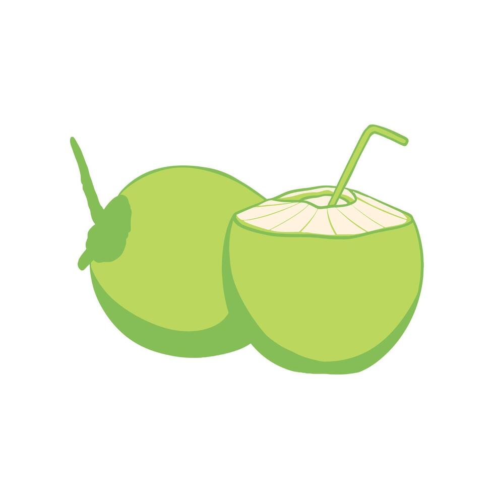 illustration of whole and half green young coconut. vector