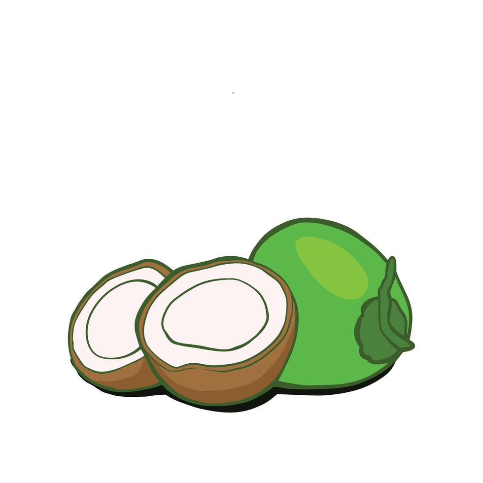 illustration of whole and half green young coconut. vector