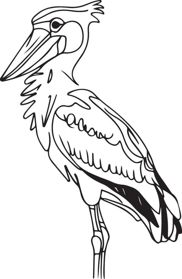 Illustration Artwork of a bird vector
