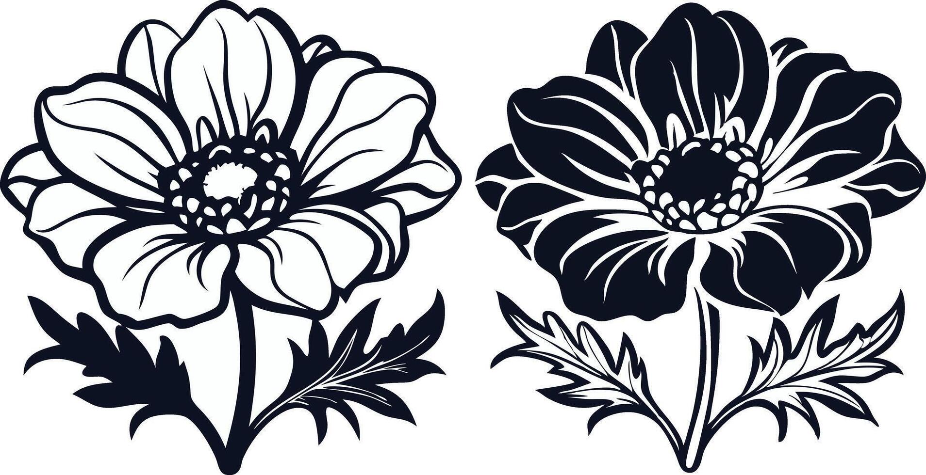 two black and white flowers on a white background vector