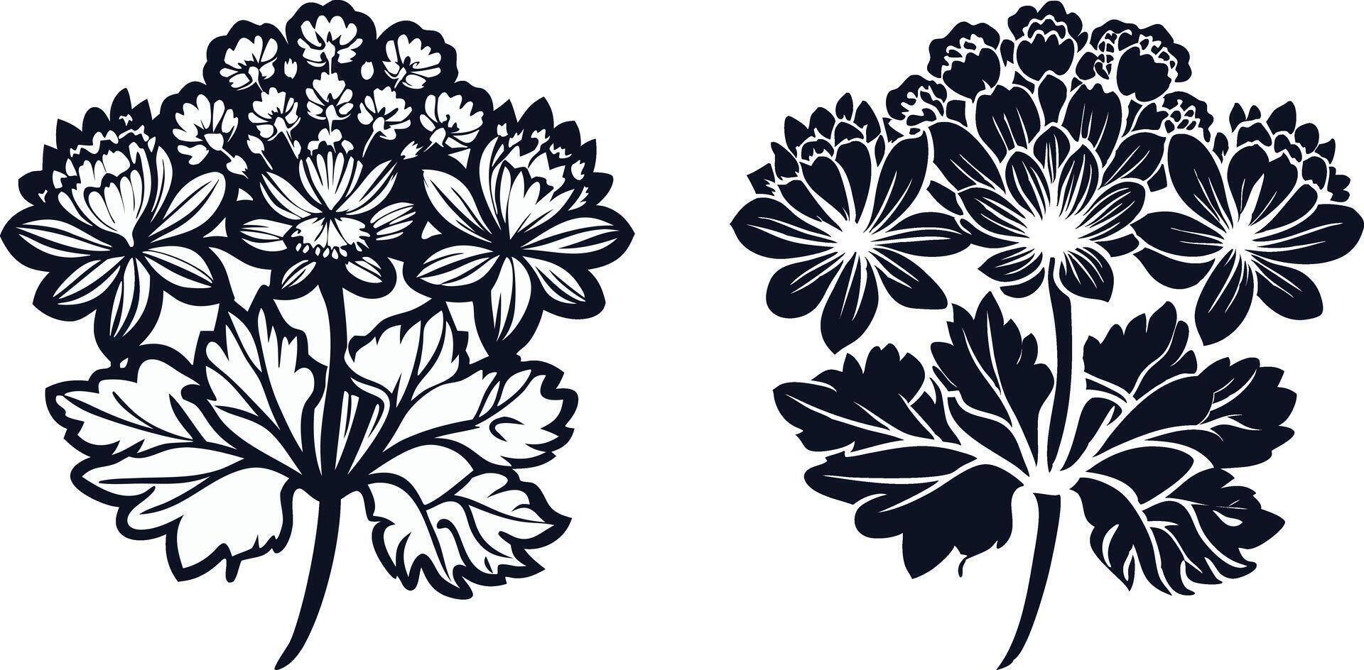 black and white floral design isolated on white background vector