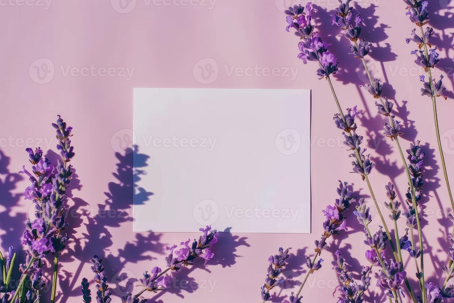 White blank paper card laying in shadows next to some lavender flowers on pale pink background. Top view, copy space photo