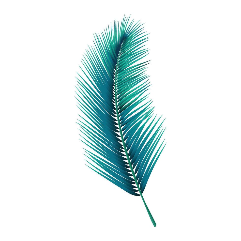 Tropical palm leaf isolated on a white background vector