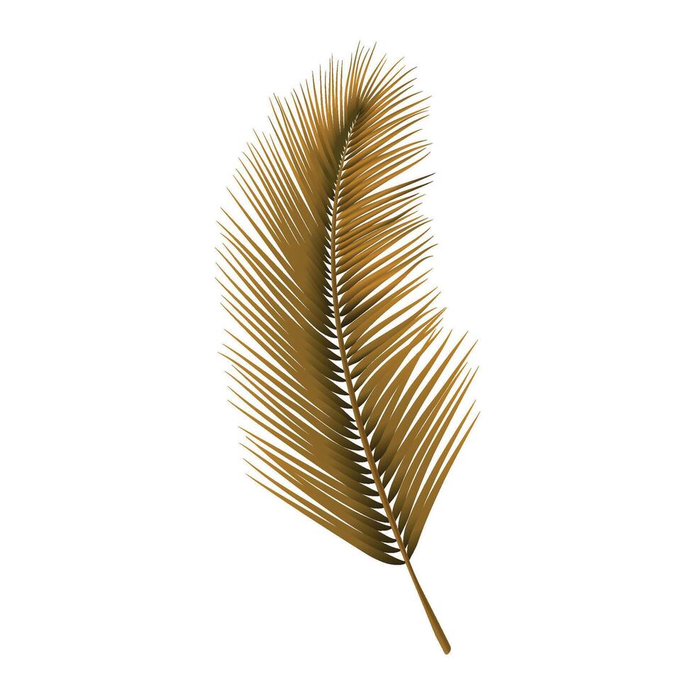 Tropical palm leaf isolated on white background vector