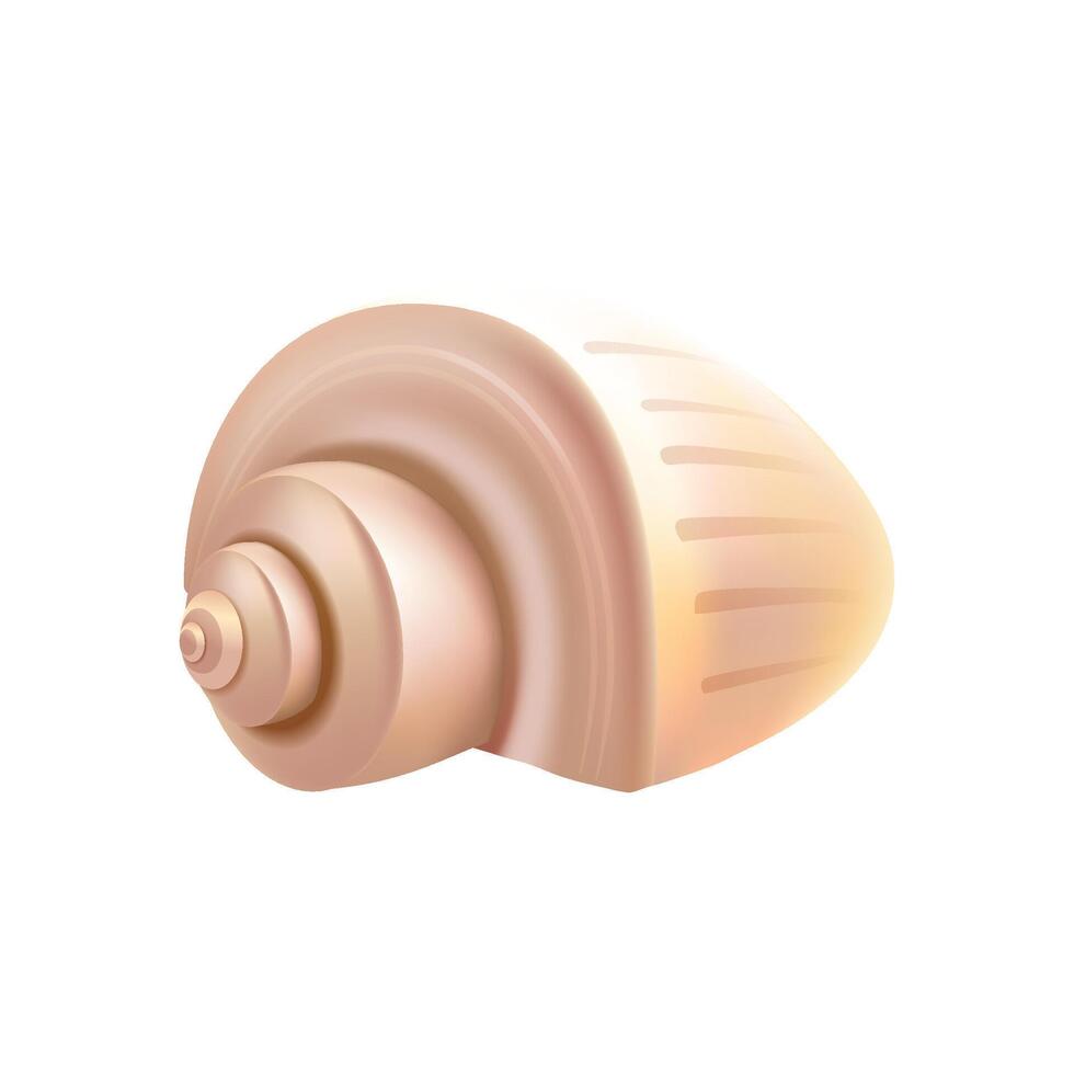Sea shell isolated illustration on white background vector